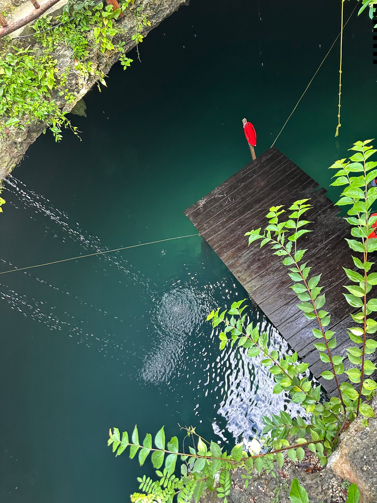 Sacred cenote in the Yucatán jungle