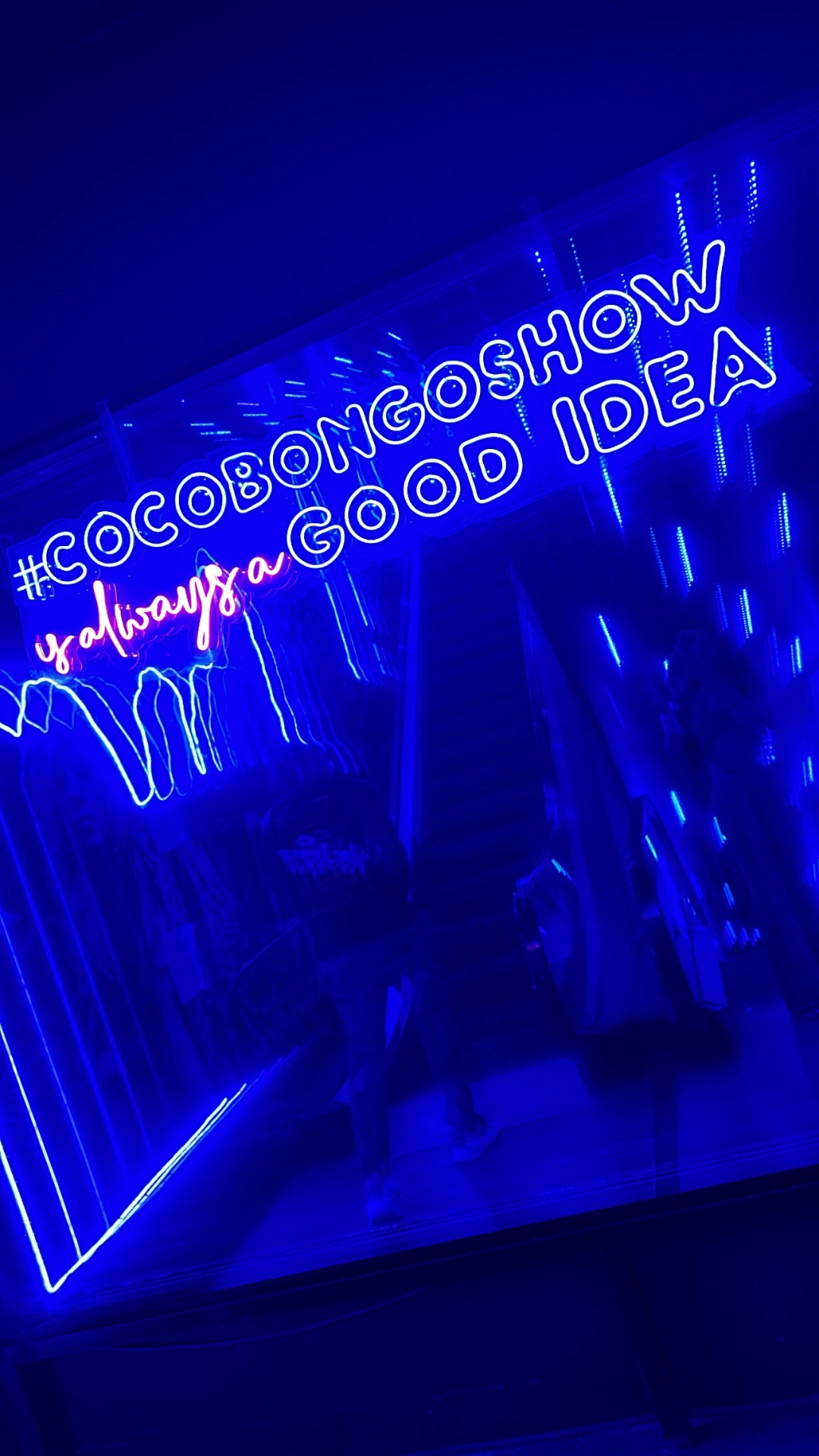 Coco Bongo Show neon lights at night